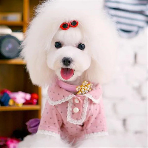 Heart Sunglasses Pet Hair Clip