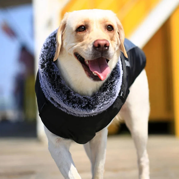 Fur Collar Winter Jacket