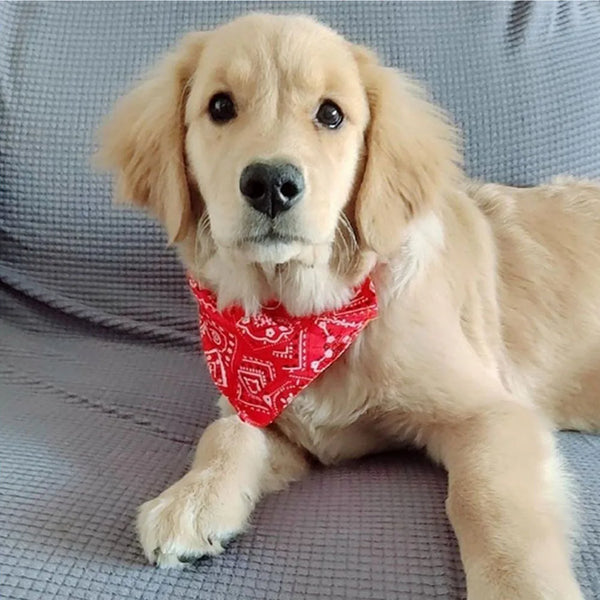 Adjustable Bandana Pet Collar