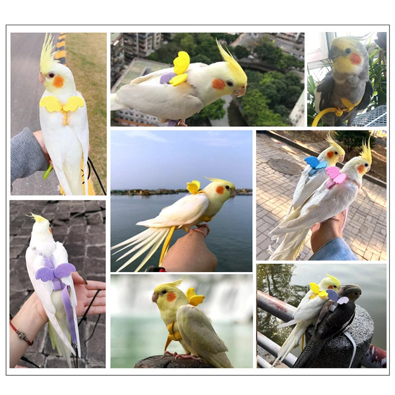 Adjustable Parrot Flight Harness