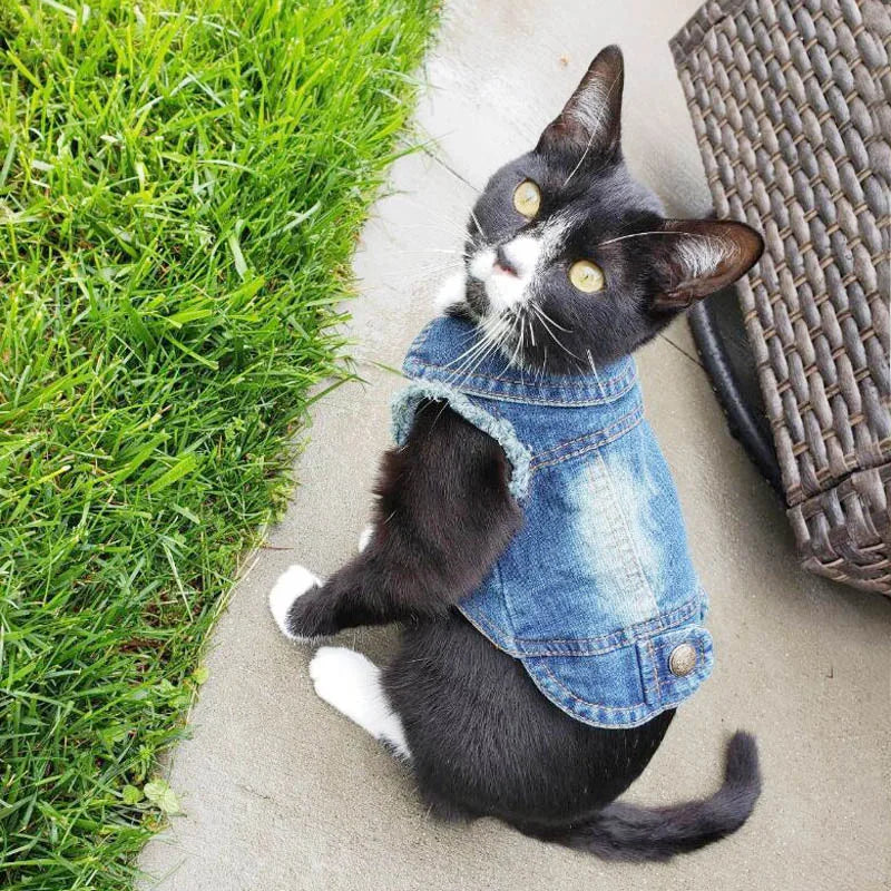 Denim Cat Vest Jacket
