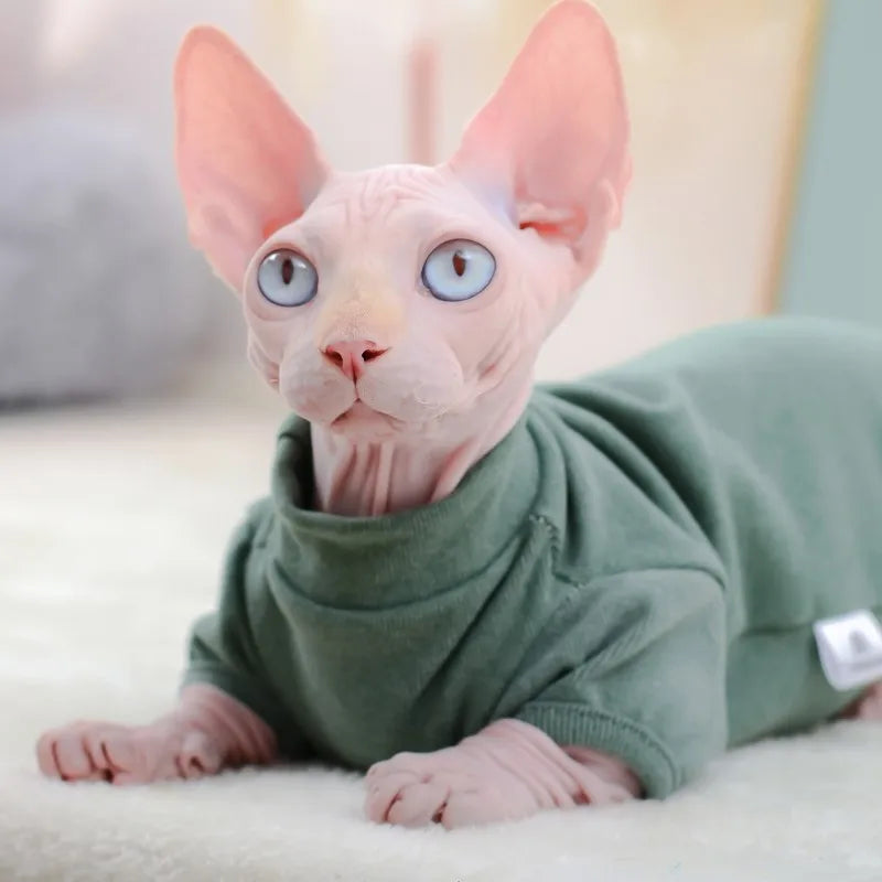 Warm Cotton Sphynx Hoodie