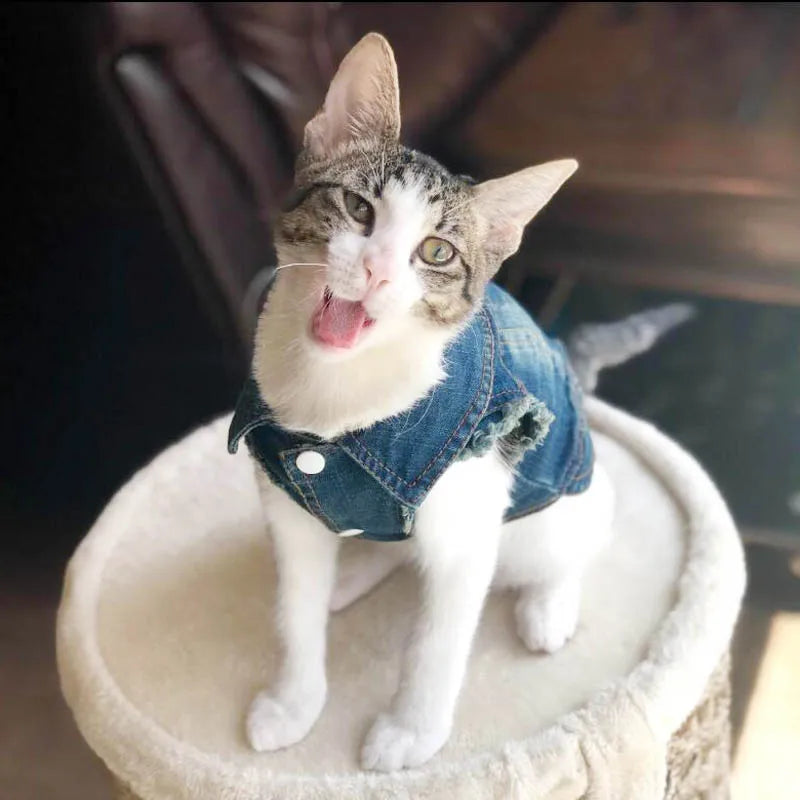 Denim Cat Vest Jacket