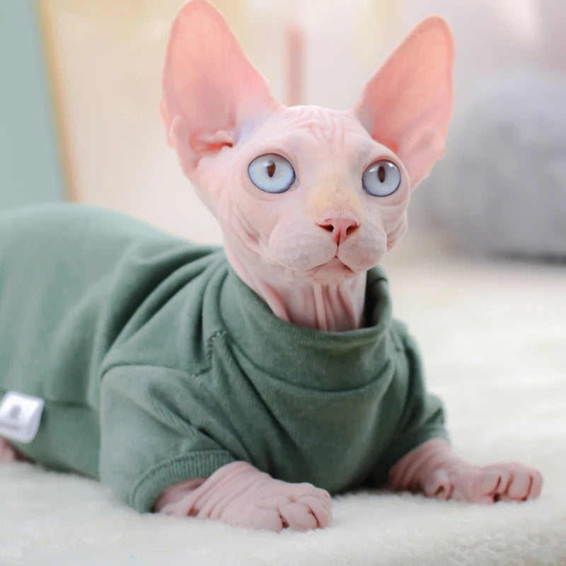Warm Cotton Sphynx Hoodie