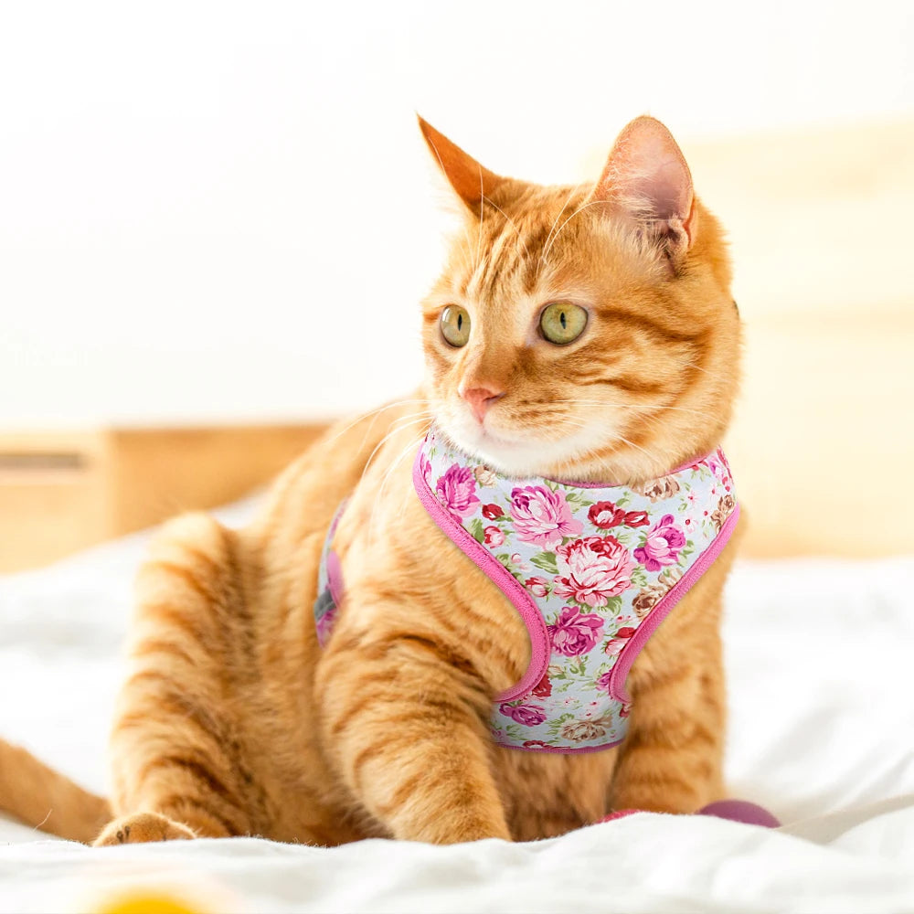 Floral Padded Dog Harness