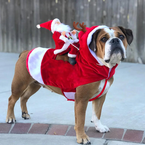 Christmas Santa Pet Costume