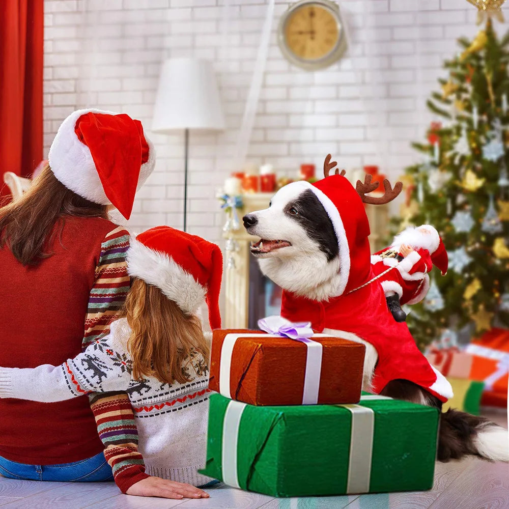 Christmas Santa Pet Costume