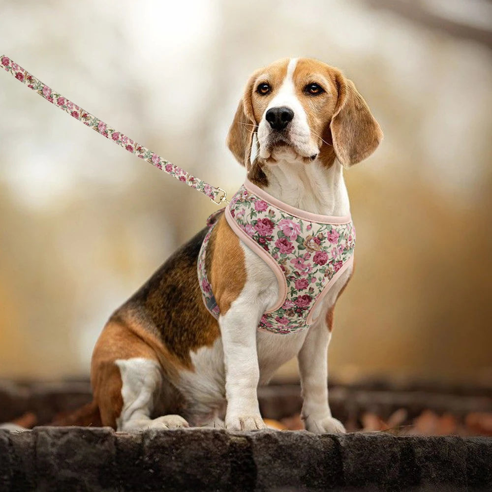 Floral Padded Dog Harness