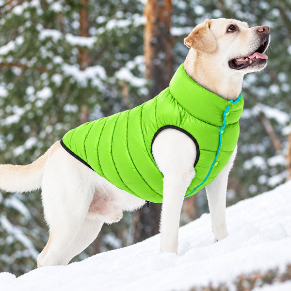 Reversible Waterproof Winter Vest