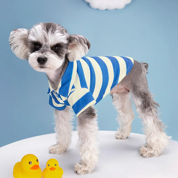 Summer Striped Polo Shirt