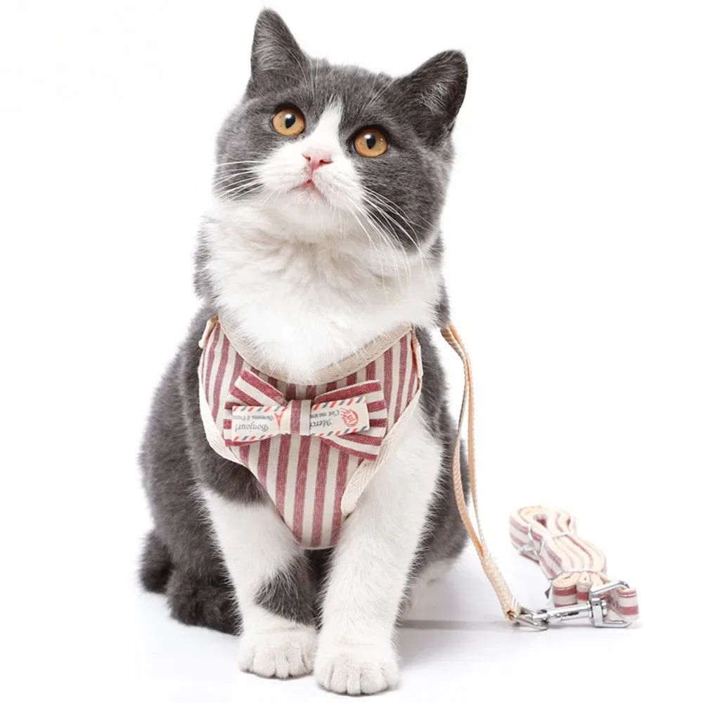 Padded Nylon Pet Harness Set