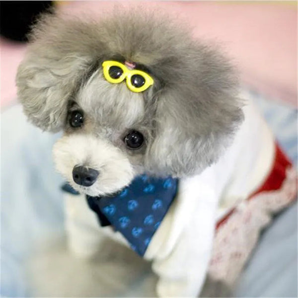 Heart Sunglasses Pet Hair Clip