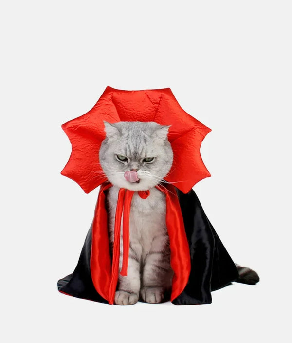 Halloween Vampire Pet Cloak