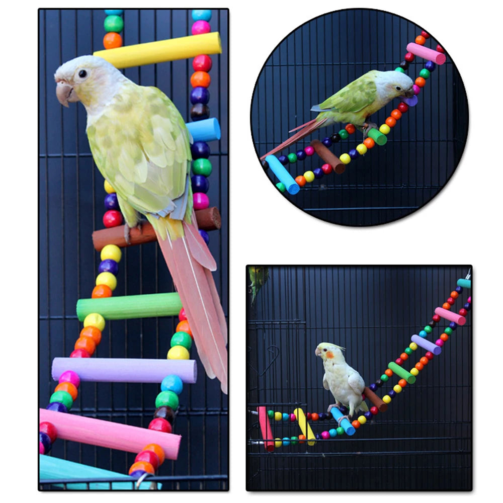 Twelve-Step Bird Climbing Ladder