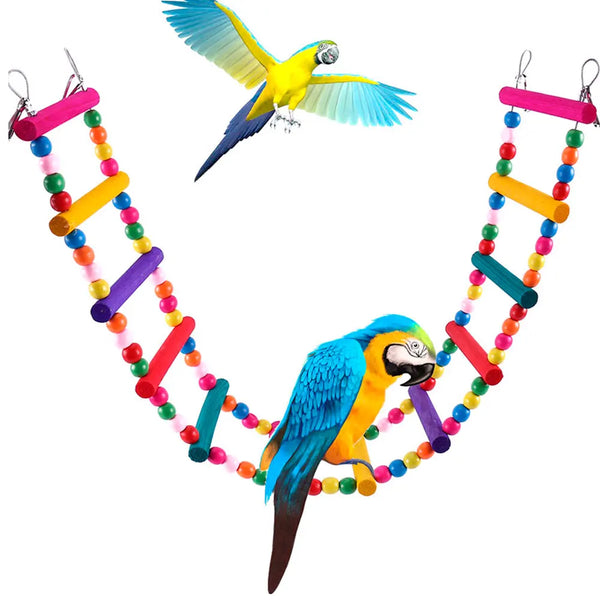 Twelve-Step Bird Climbing Ladder