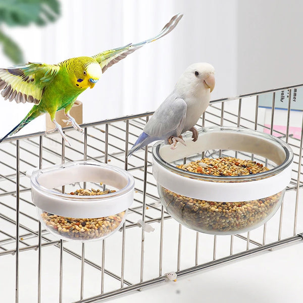 Detachable Clear Bird Feeding Bowl