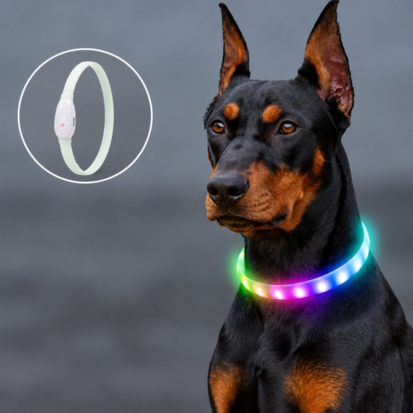Rechargeable LED Dog Collar