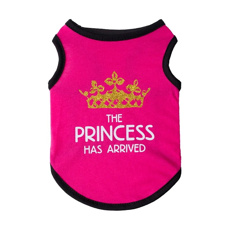 Mesh Summer Sphynx Vest