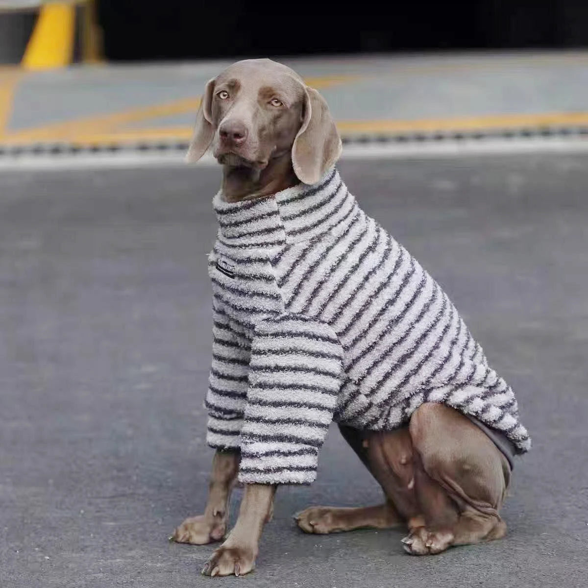Striped Fleece Dog Turtleneck