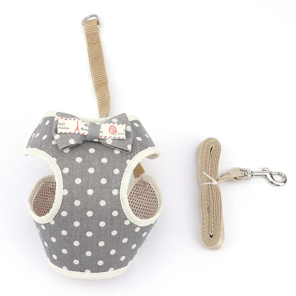 Padded Nylon Pet Harness Set