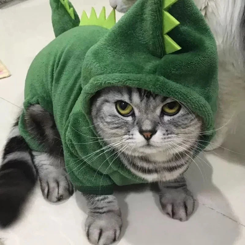 Fleece Dinosaur Pet Costume