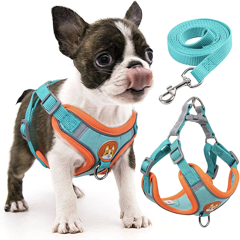Reflective Step-In Harness Set
