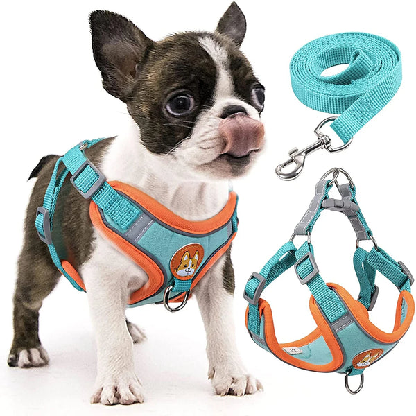 Reflective Step-In Harness Set