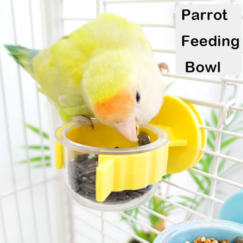 Hanging Split Parrot Bowl