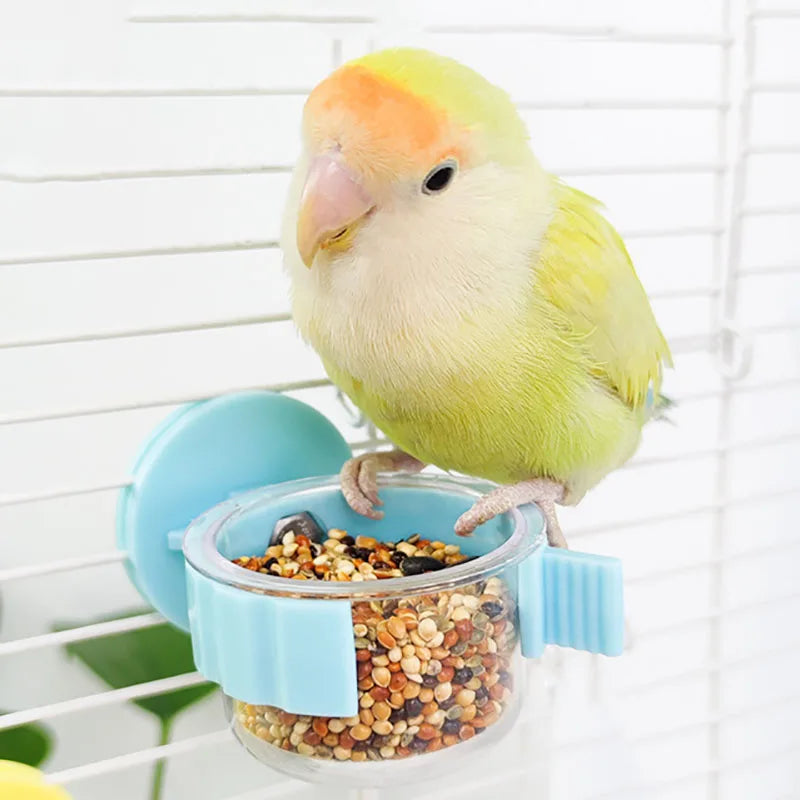 Hanging Split Parrot Bowl