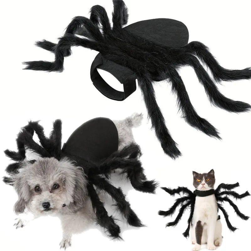 Halloween Spider Pet Costume