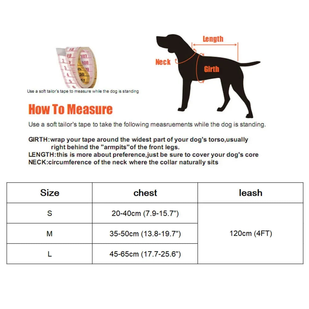 Padded Nylon Pet Harness Set
