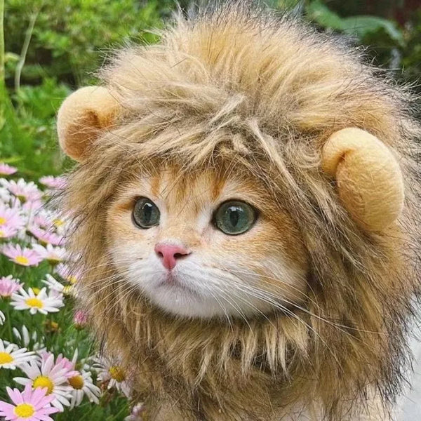 Lion Mane Pet Costume