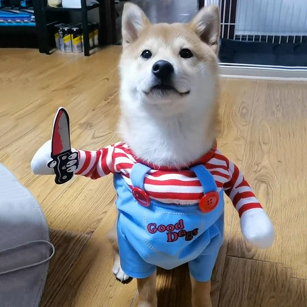 Striped Halloween Pet Costume