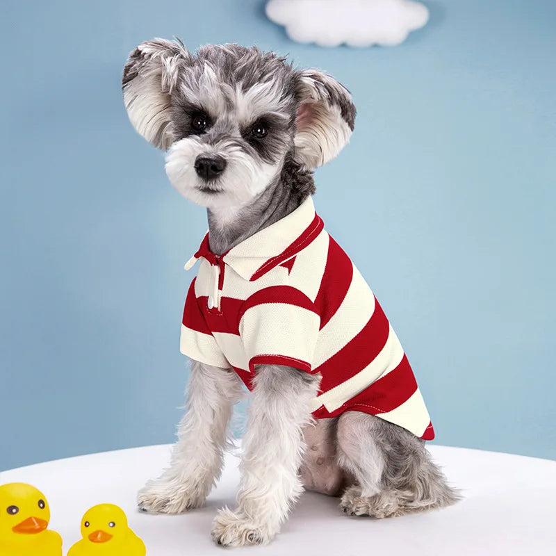 Summer Striped Polo Shirt