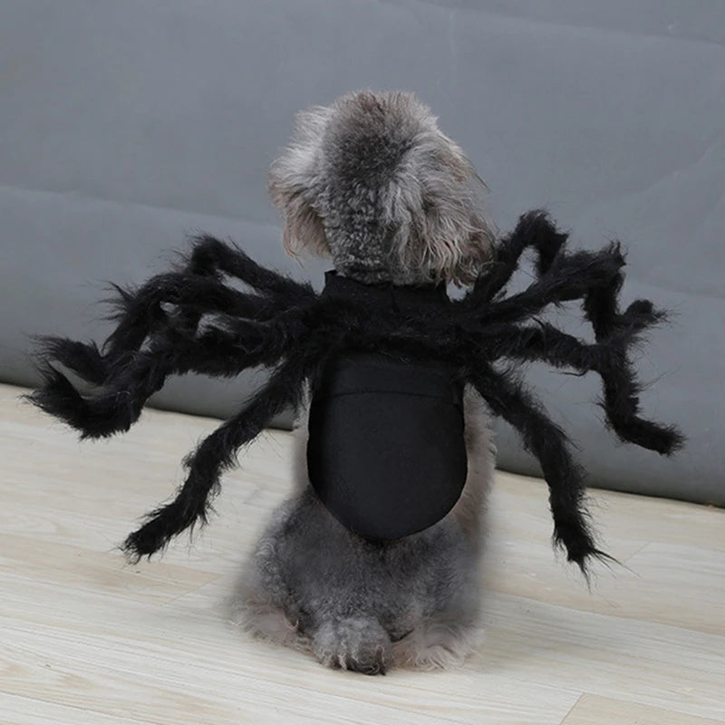 Halloween Spider Pet Costume