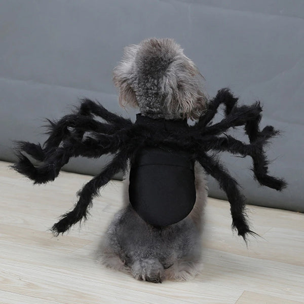 Halloween Spider Pet Costume