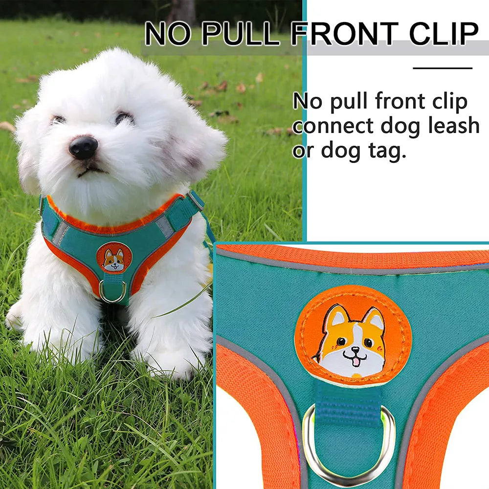 Reflective Step-In Harness Set