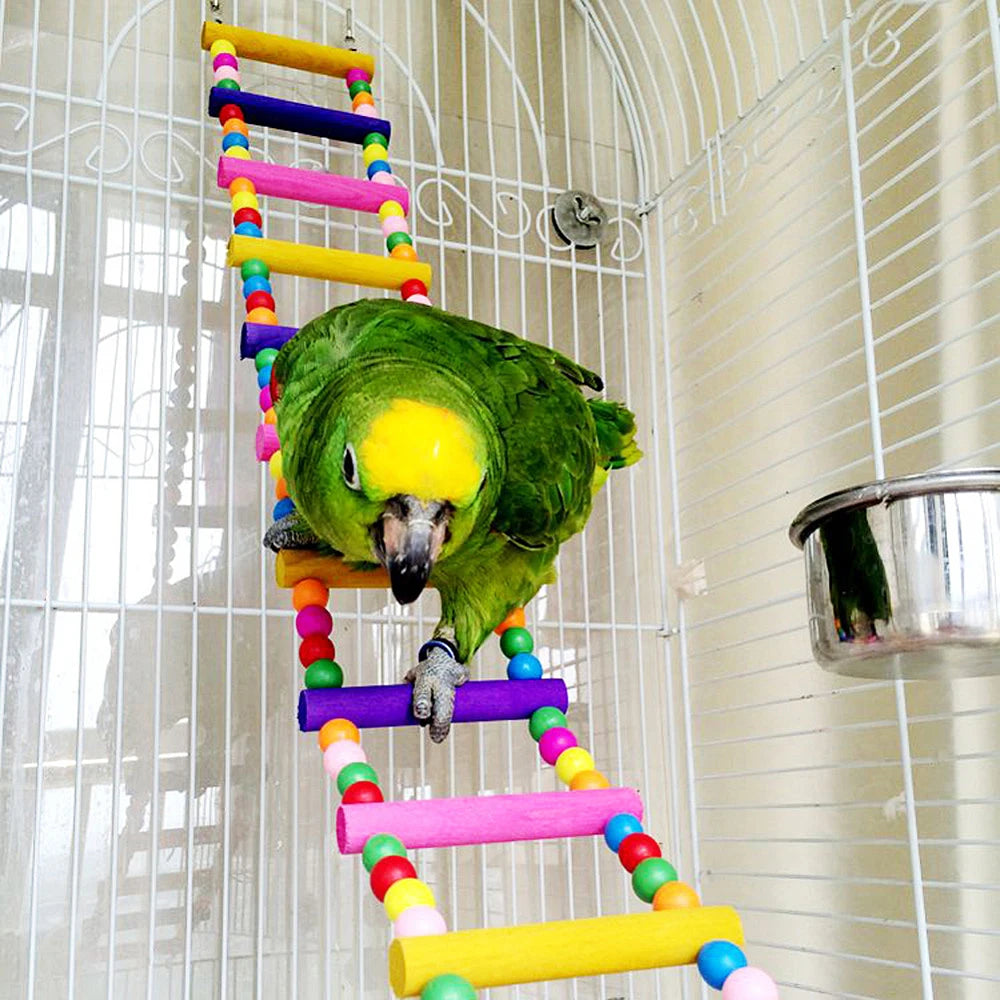 Twelve-Step Bird Climbing Ladder