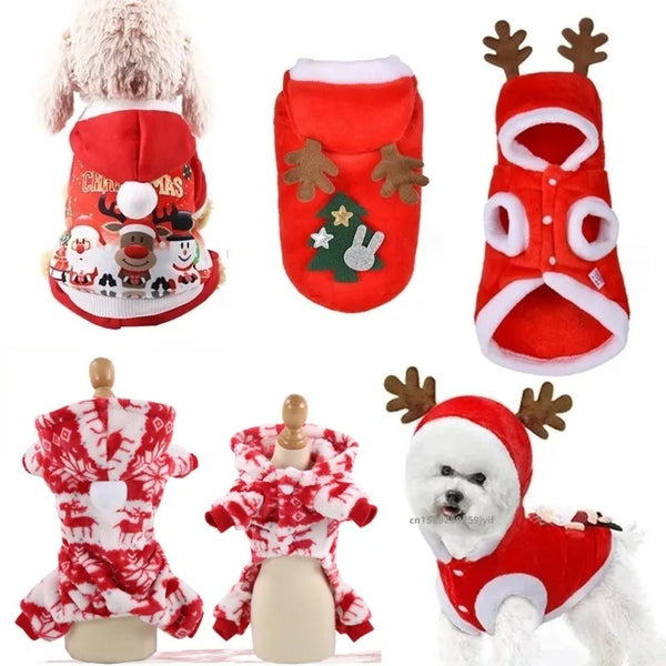 Festive Santa Dog Jacket