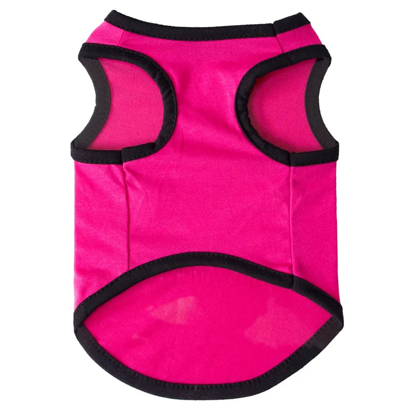 Mesh Summer Sphynx Vest