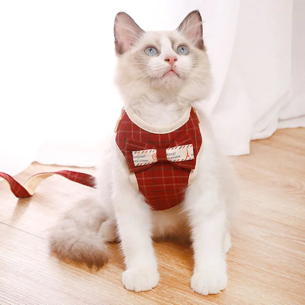 Padded Nylon Pet Harness Set