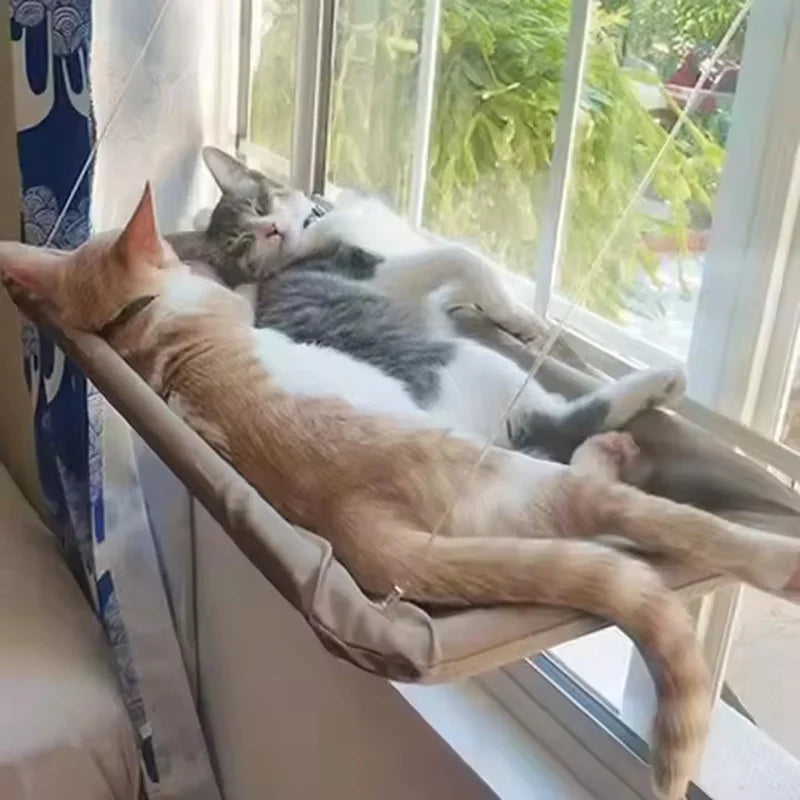 Window Mounted Cat Hammock