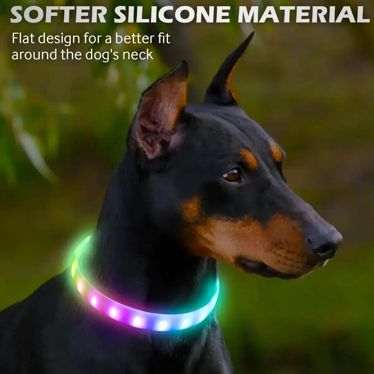 Rechargeable LED Dog Collar