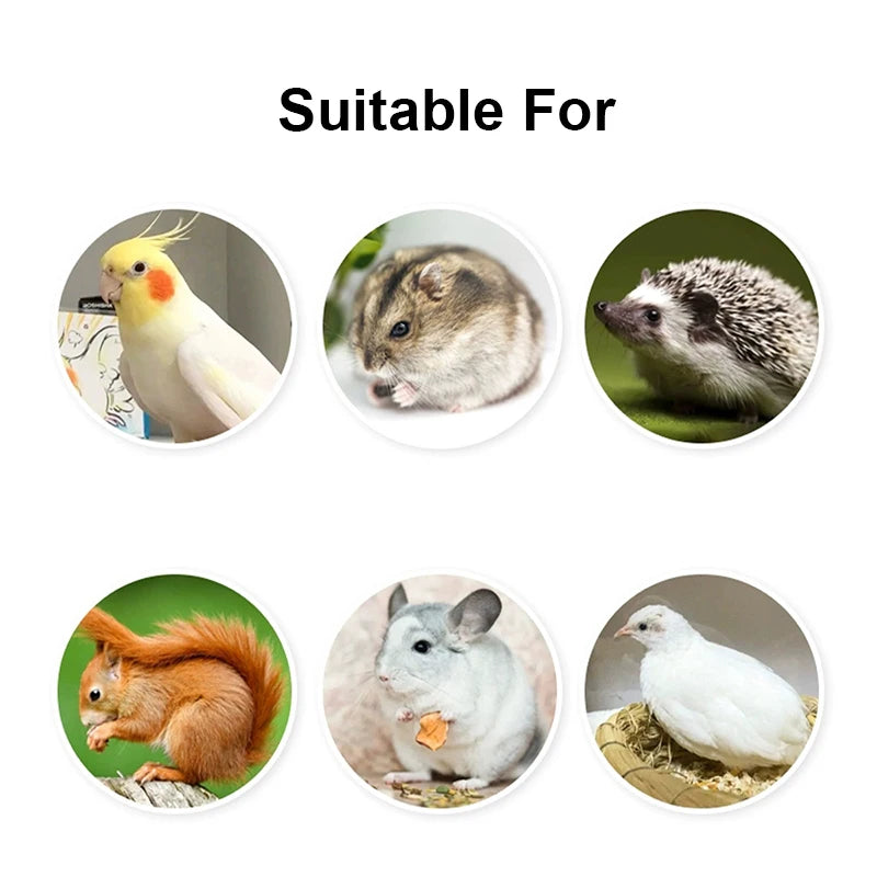 Detachable Clear Bird Feeding Bowl