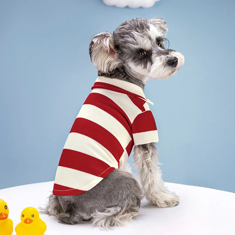 Summer Striped Polo Shirt