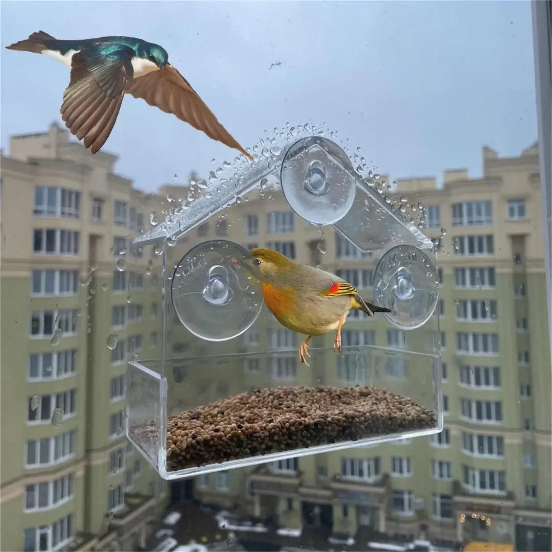 Clear Suction Window Bird Feeder