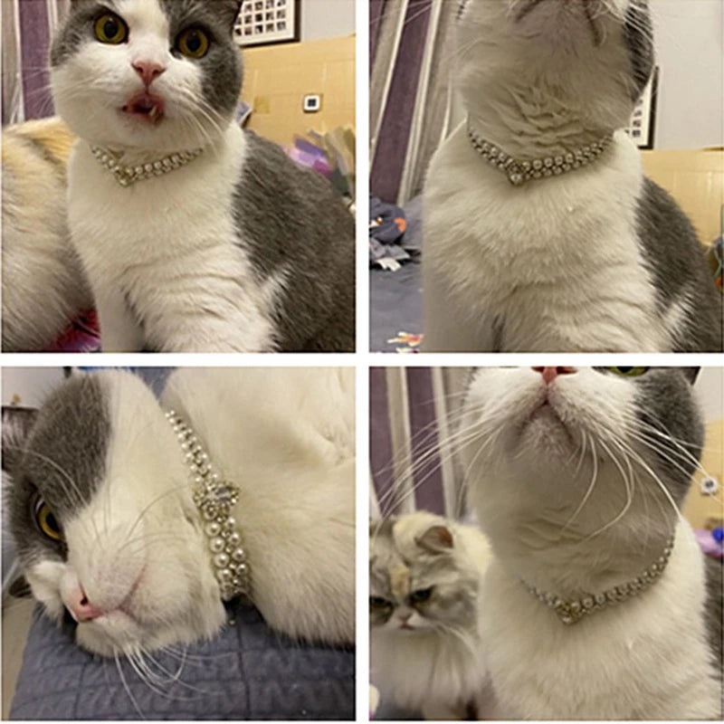 Jeweled Pearl Pet Collar