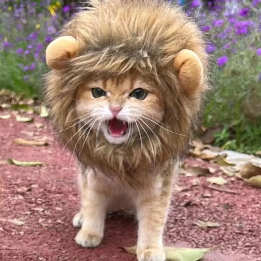 Lion Mane Pet Costume