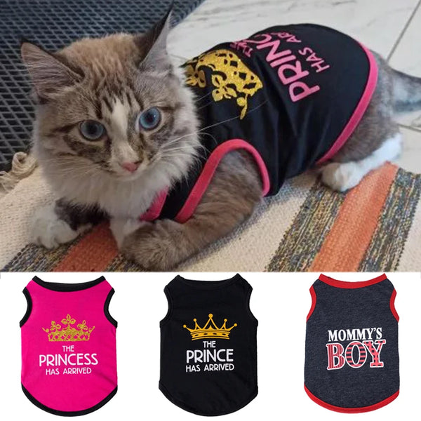 Mesh Summer Sphynx Vest