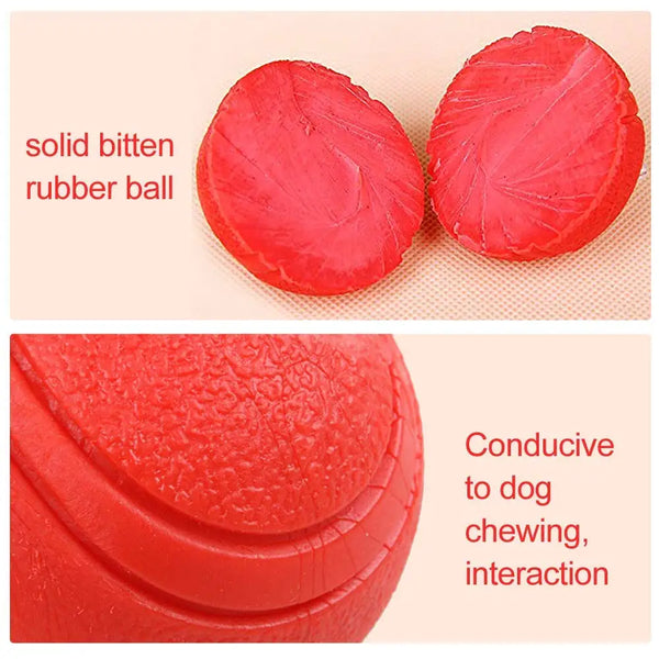 Bite Resistant Rubber Ball